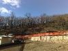 bushfire_recovery