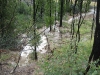 waterdamage